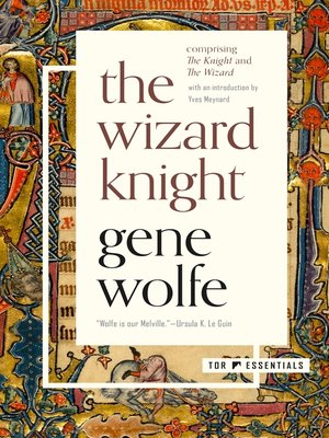 cover image of The Wizard Knight